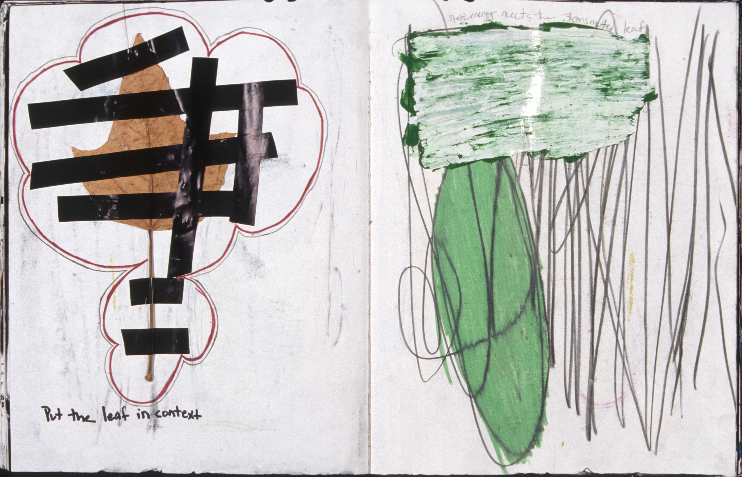Stolen Sketchbook (Put the Leaf in Context) (Copy)
