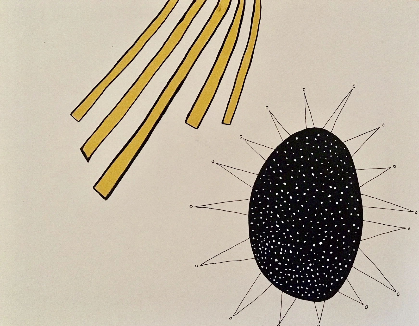 Objects of Mind IV (Copy)