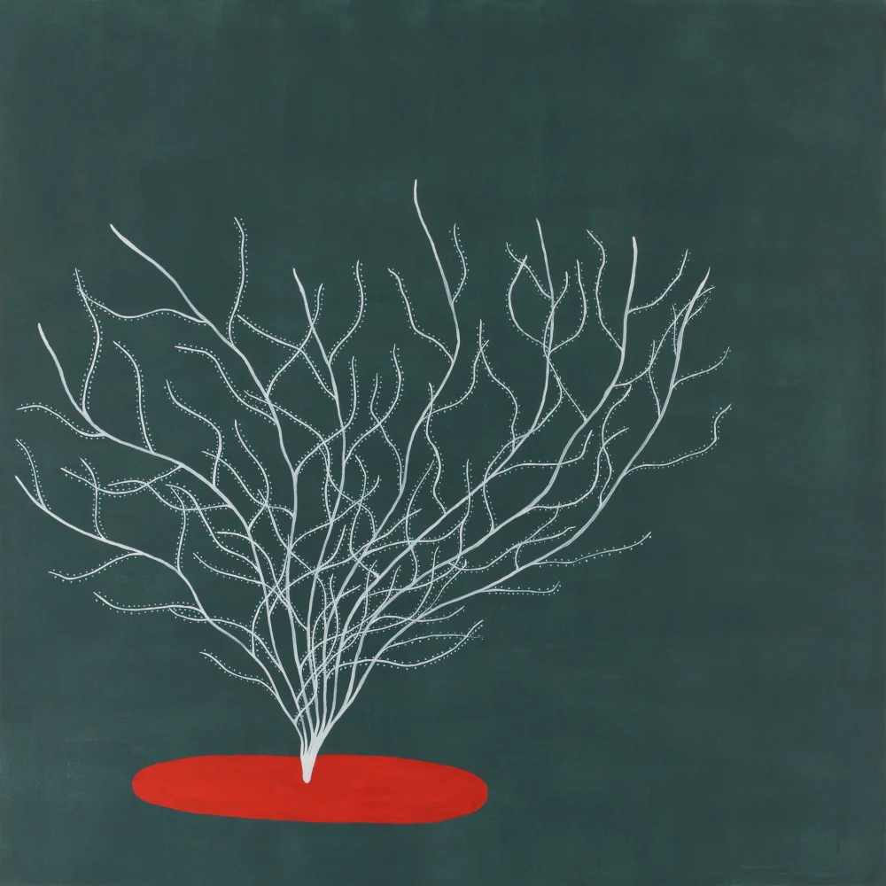 Untitled  (Copy)