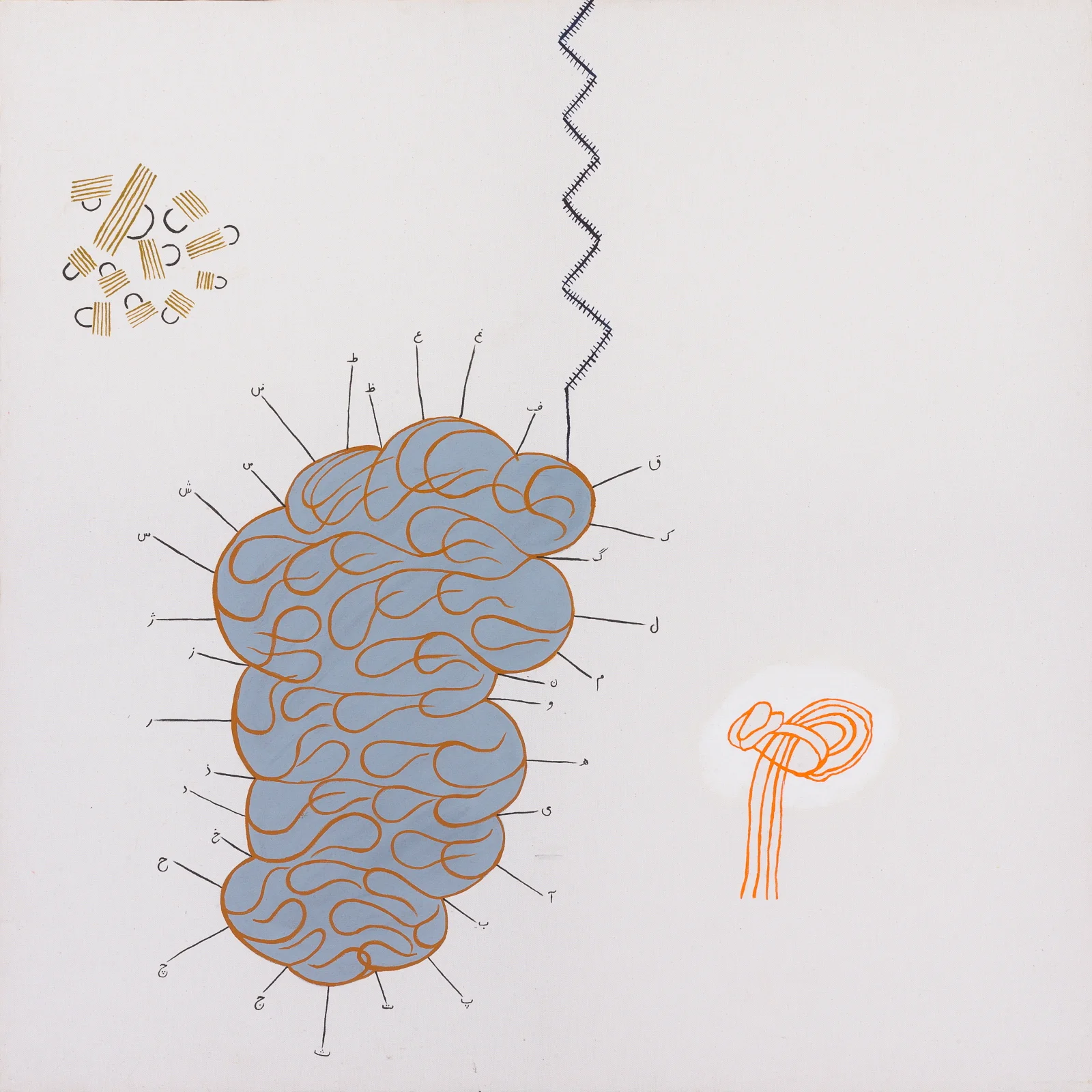 Brain of Cow (Copy)