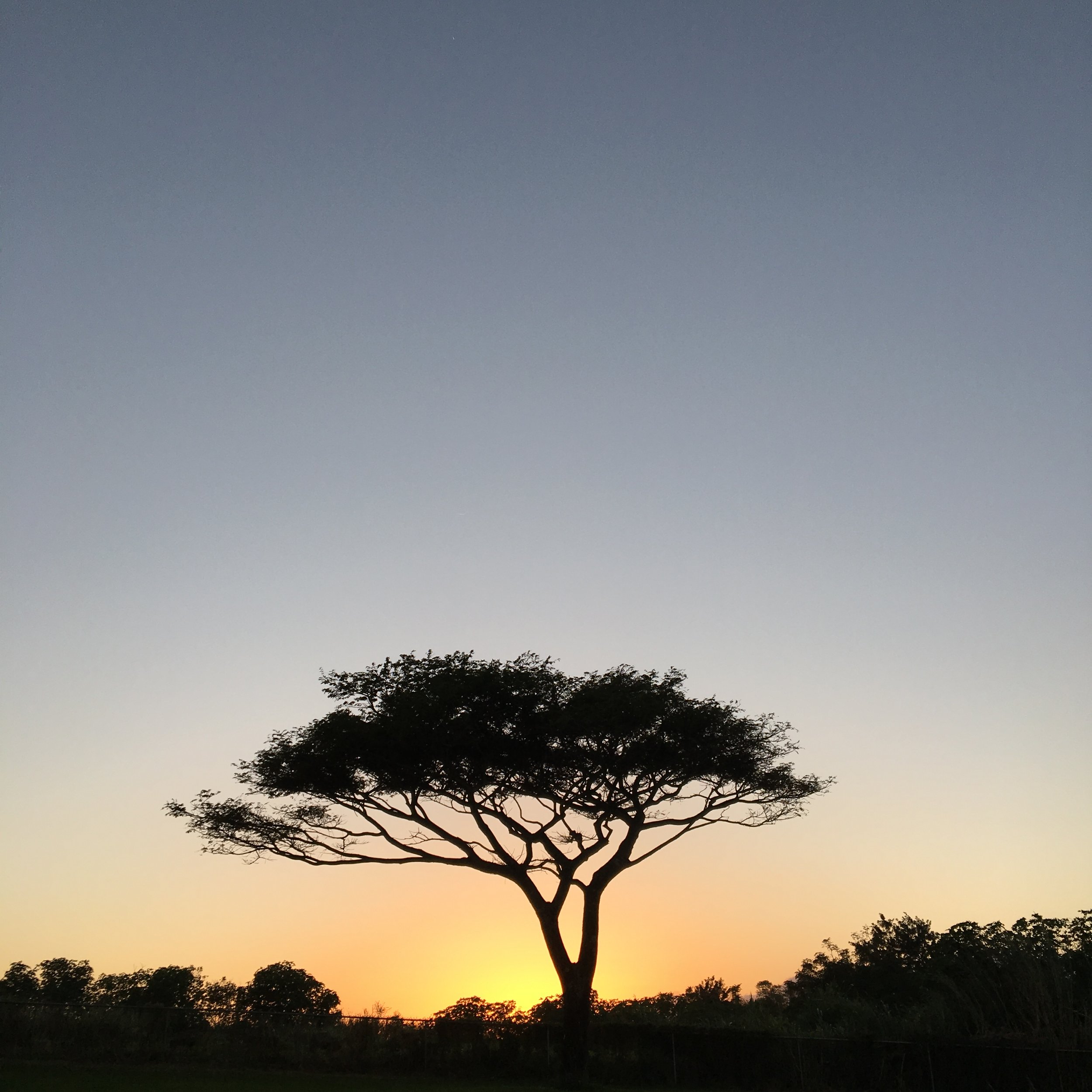 IMG_4578.JPG