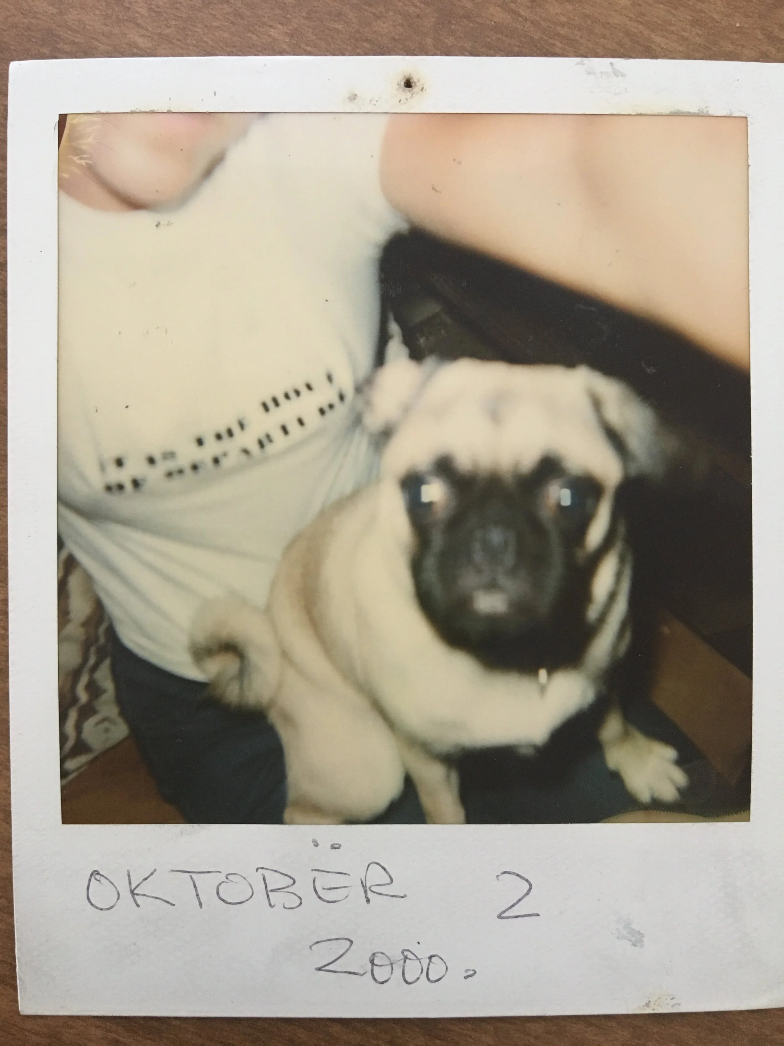 October 2.JPG
