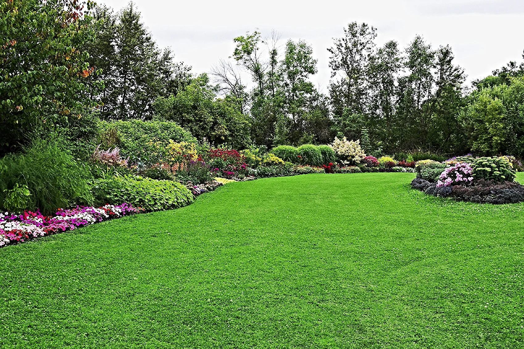 iStock_000010384726Medium.jpg