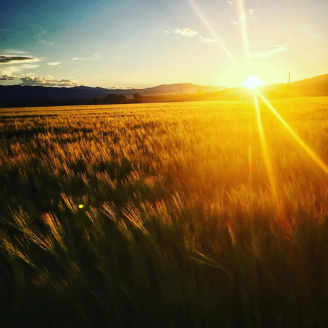 Hanging out at the family farm in Cody, Wyoming.