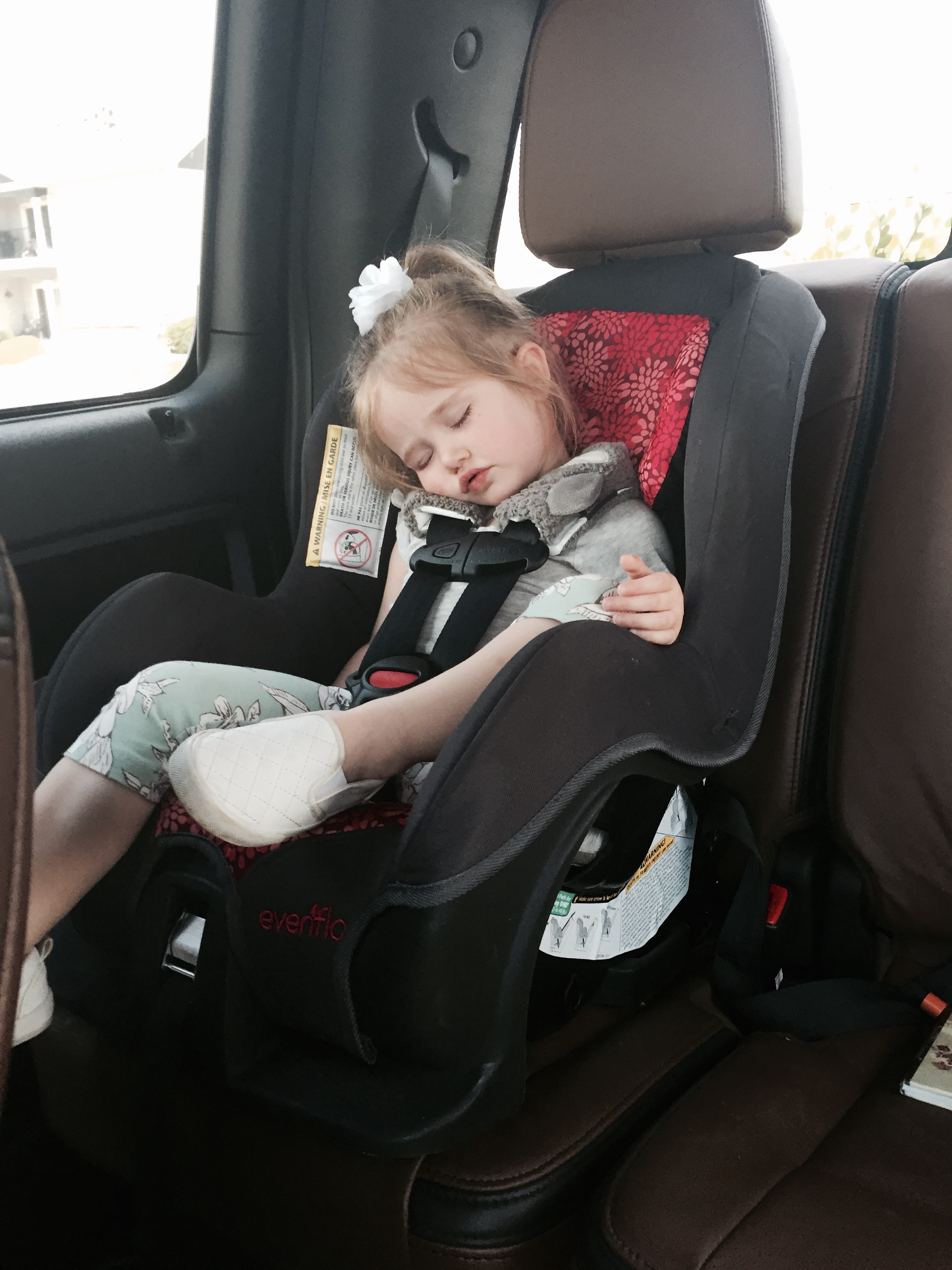 Car ride cat naps
