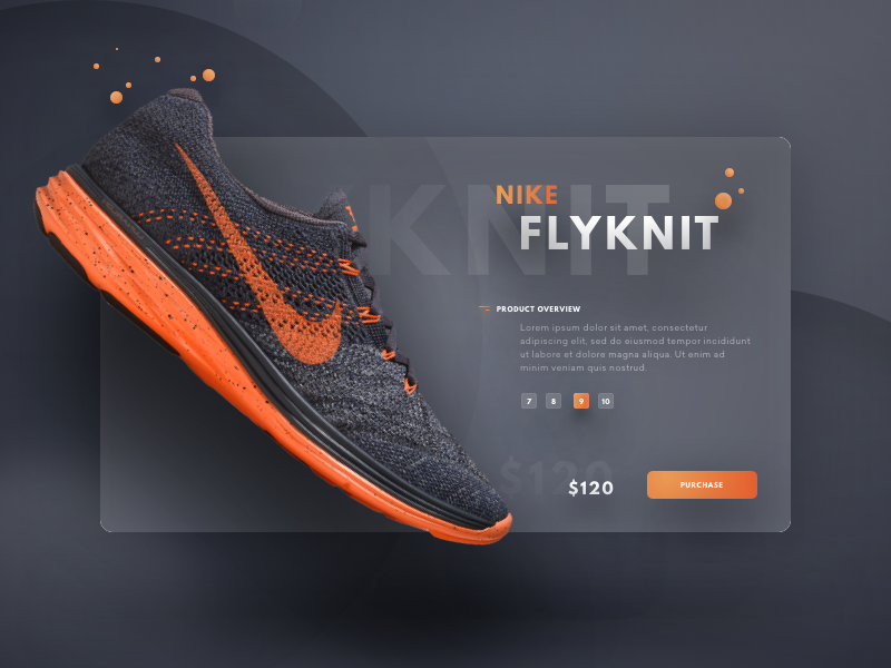 FlyknitLunar1.png