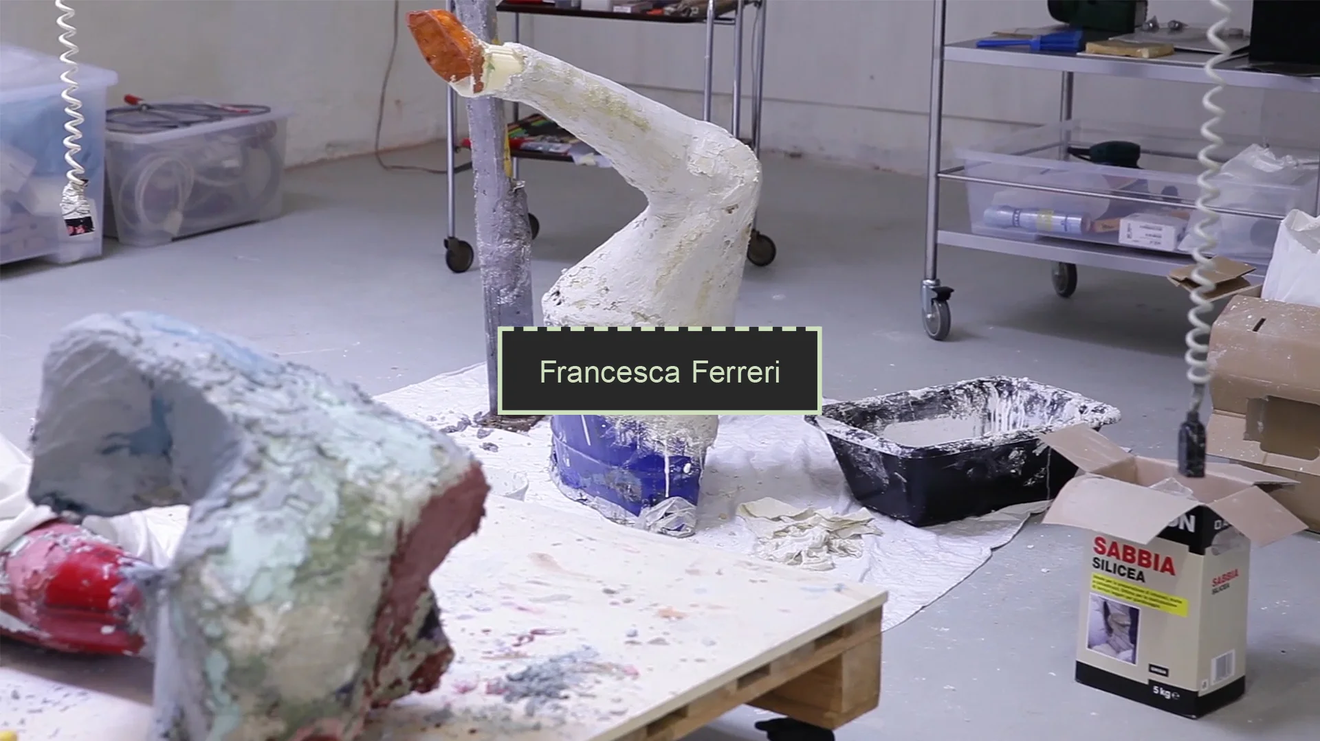 francesca ferreri.jpg