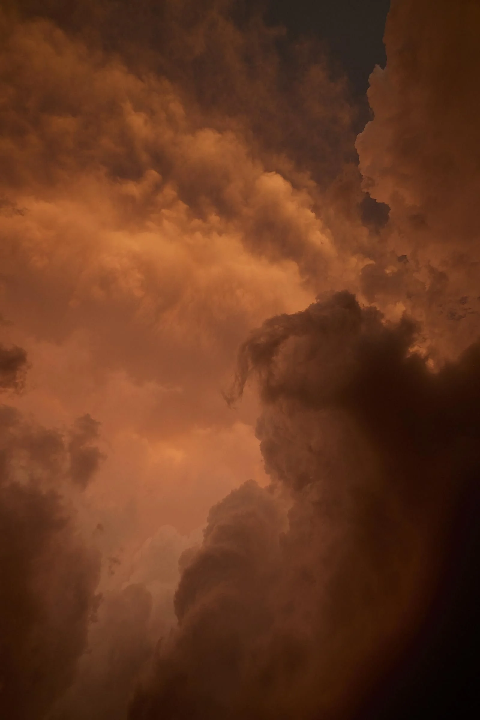Stormbound in IMAX