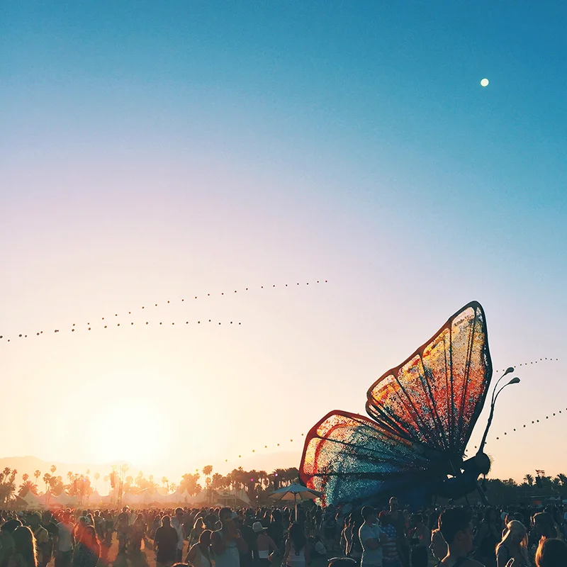 coachella2015.jpg