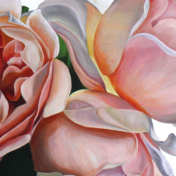 David-austin-roses-detail-shop.jpg