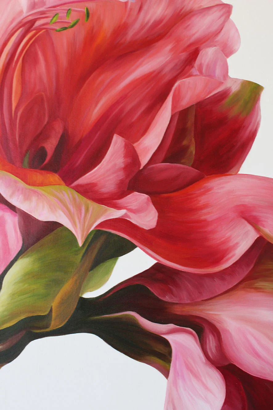 Amaryllis-shop-detail-1.jpg