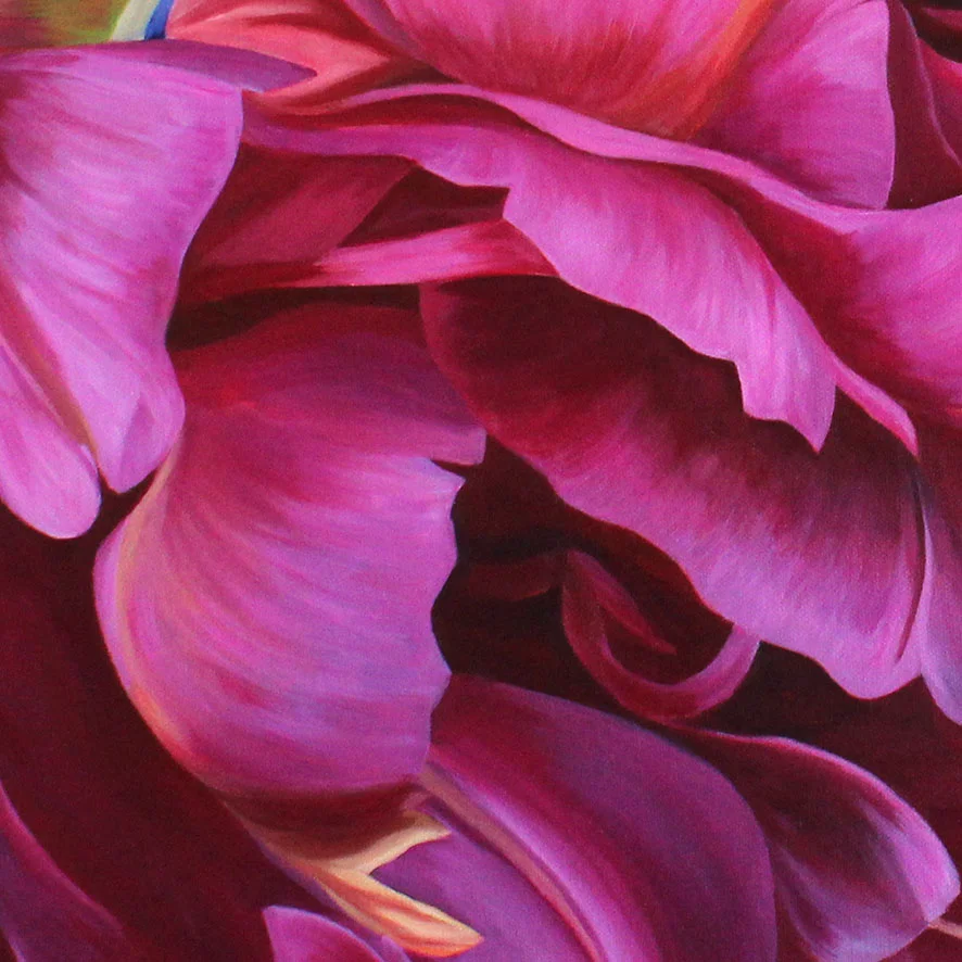 Effie-detail-shop.jpg