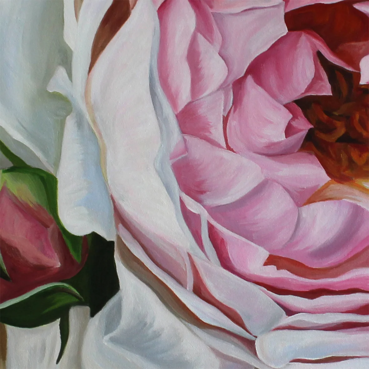 Rosa-detail-freya-powell.jpg