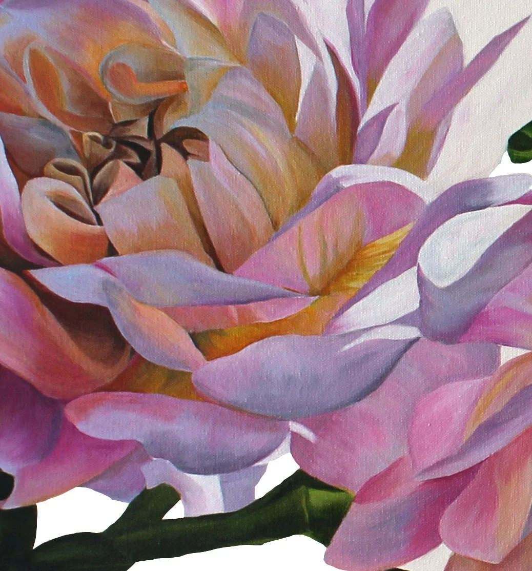 Dahlias-detail-2-shop.jpg