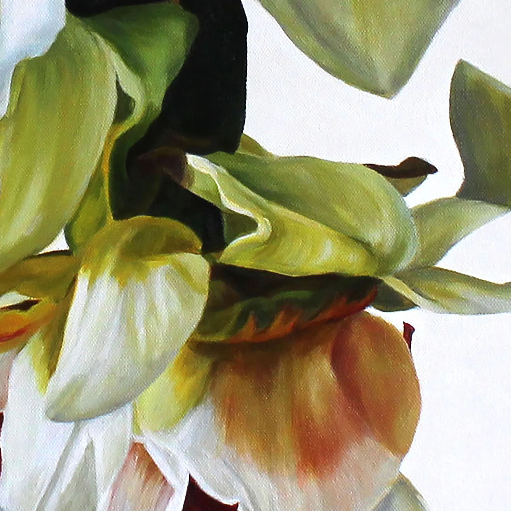 Narcissi-detail-shop.jpg
