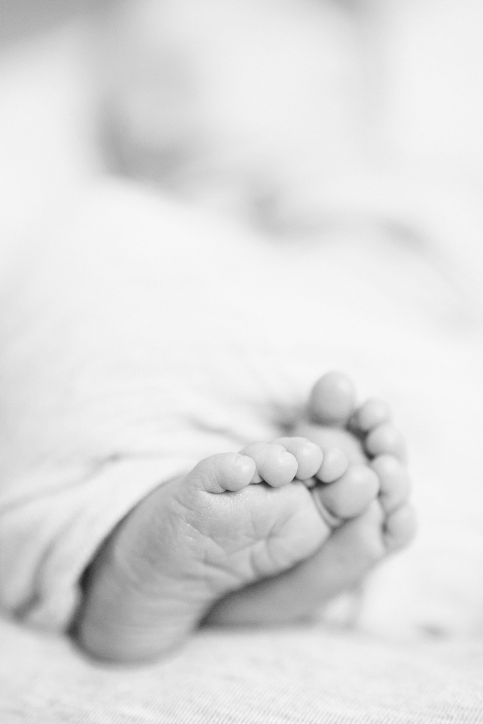 Chicago Newborn Photographer_Cassie Schott Photography_Baby Toes.jpg