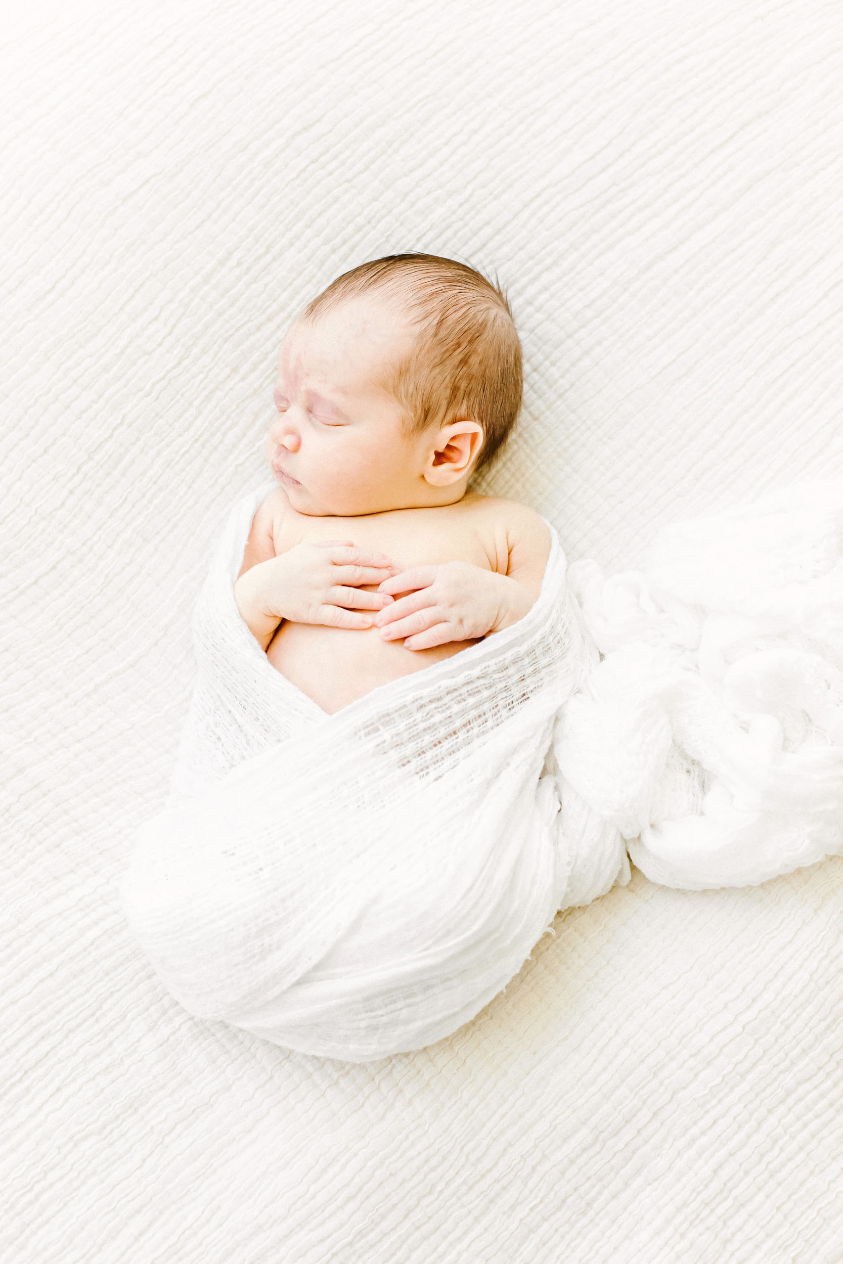 Chicago Newborn Photographer_Cassie Schott Photography_G_Family.jpg