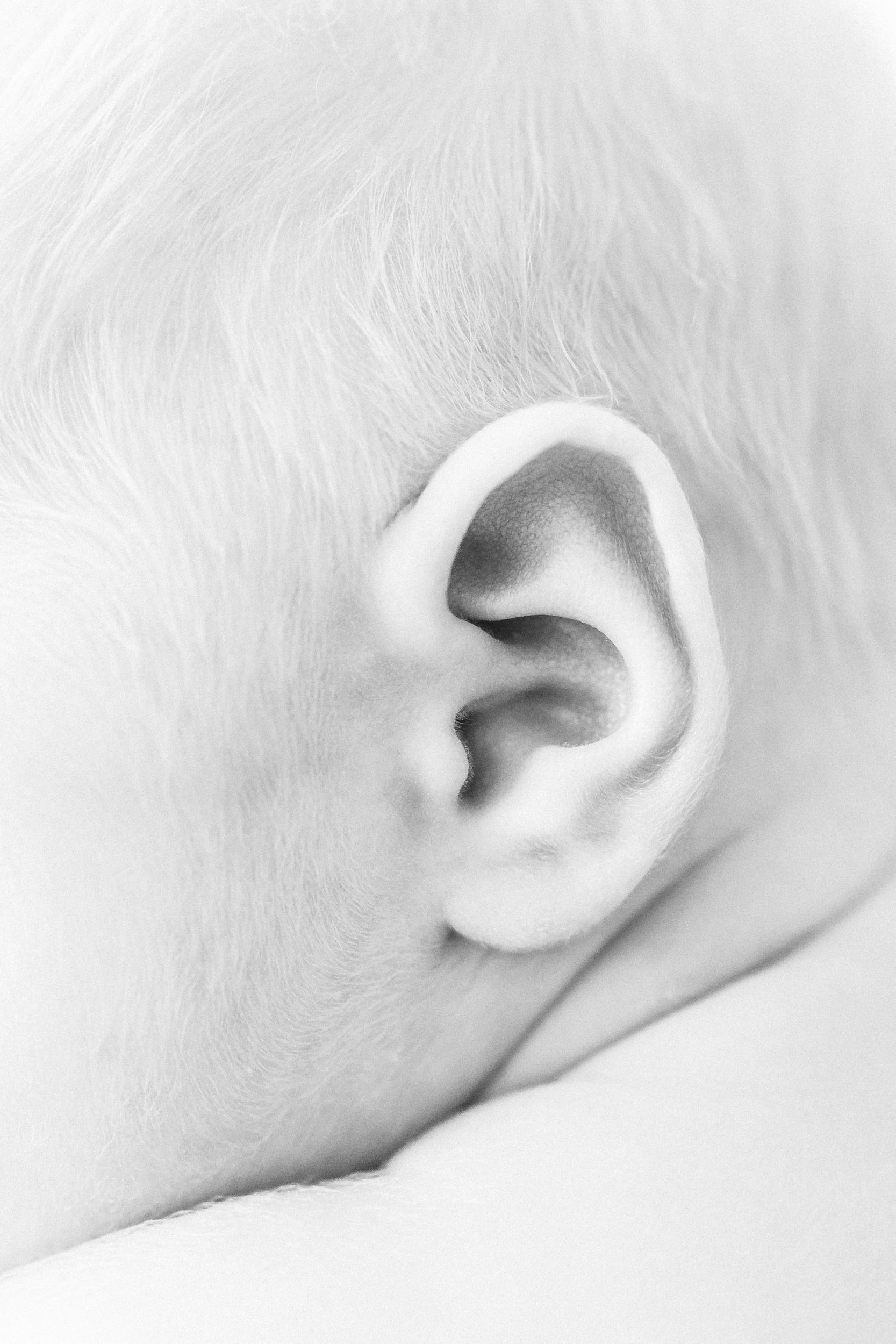 Geneva Illinois Newborn Photographer_Cassie Schott Photography_Baby Ear.jpg