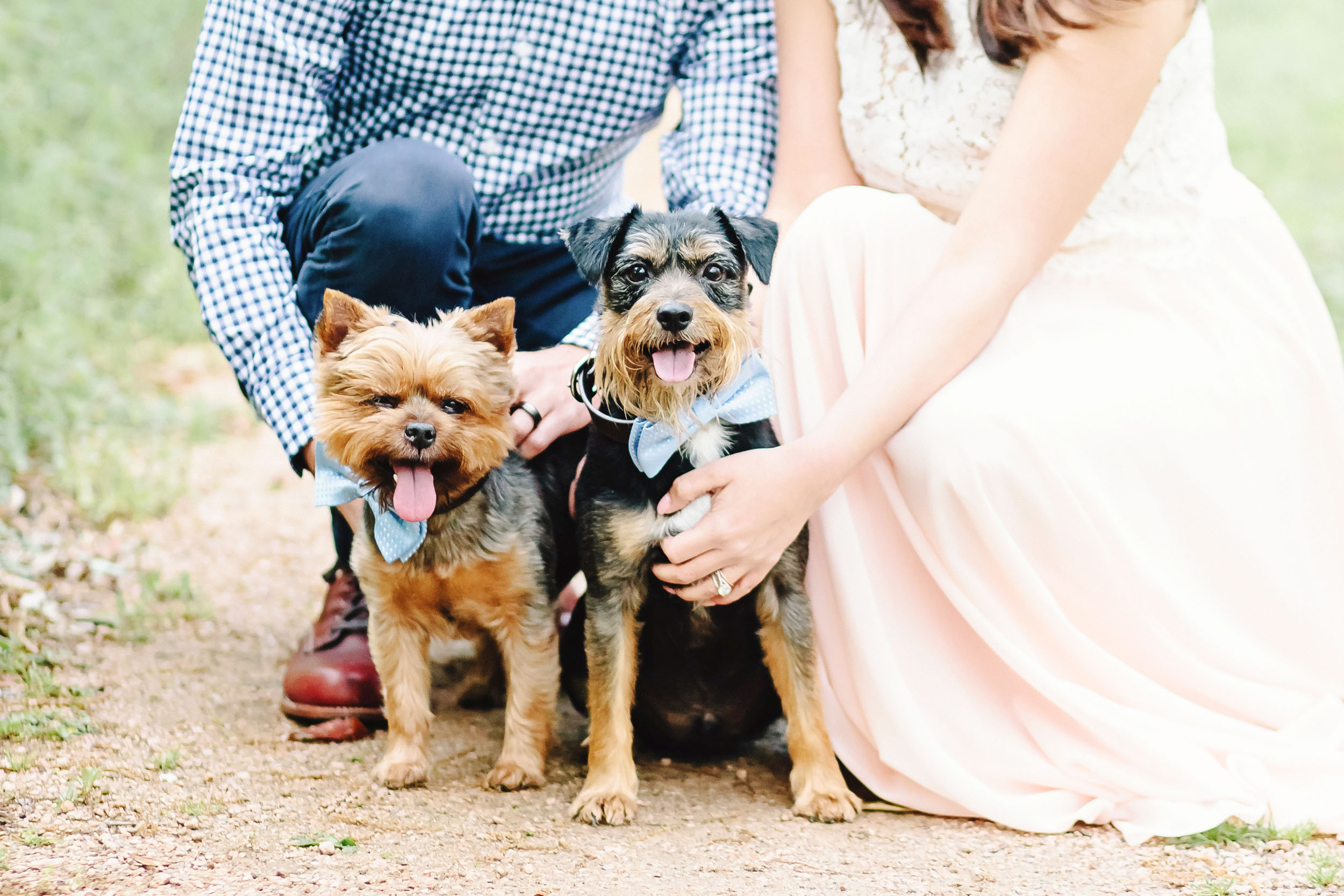 Cassie Schott Photography_Houston and Chicago Portrait Photographer_Engagement Sessions and Anniversary Sessions_21.jpg