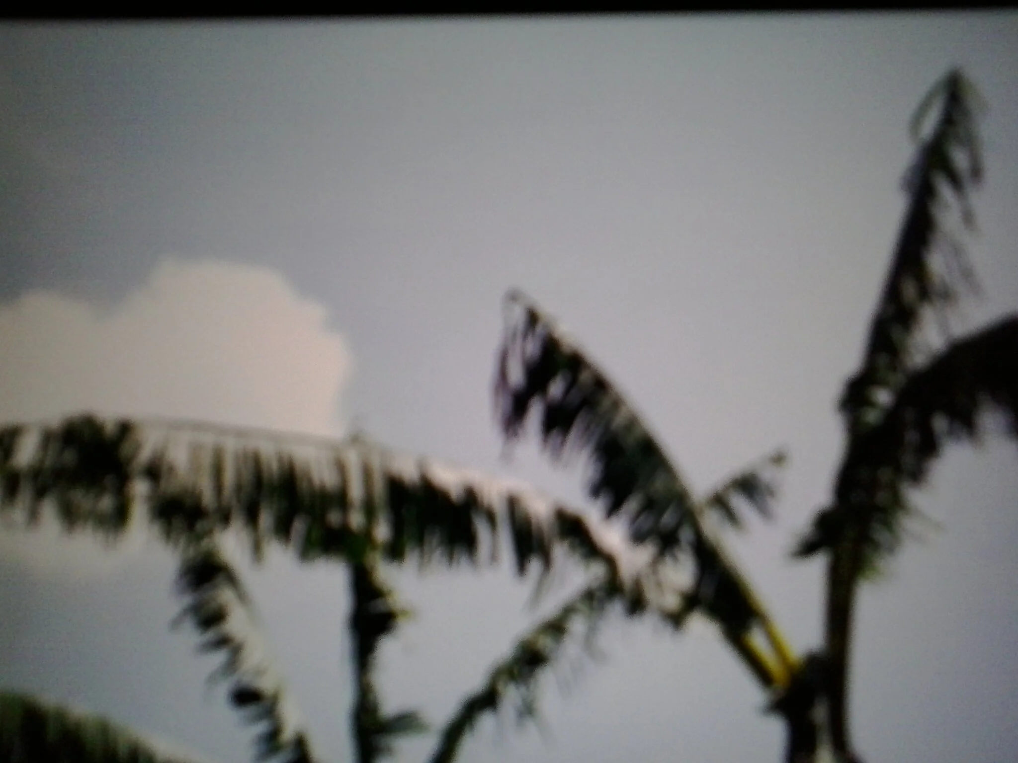 20130501_101256.jpg