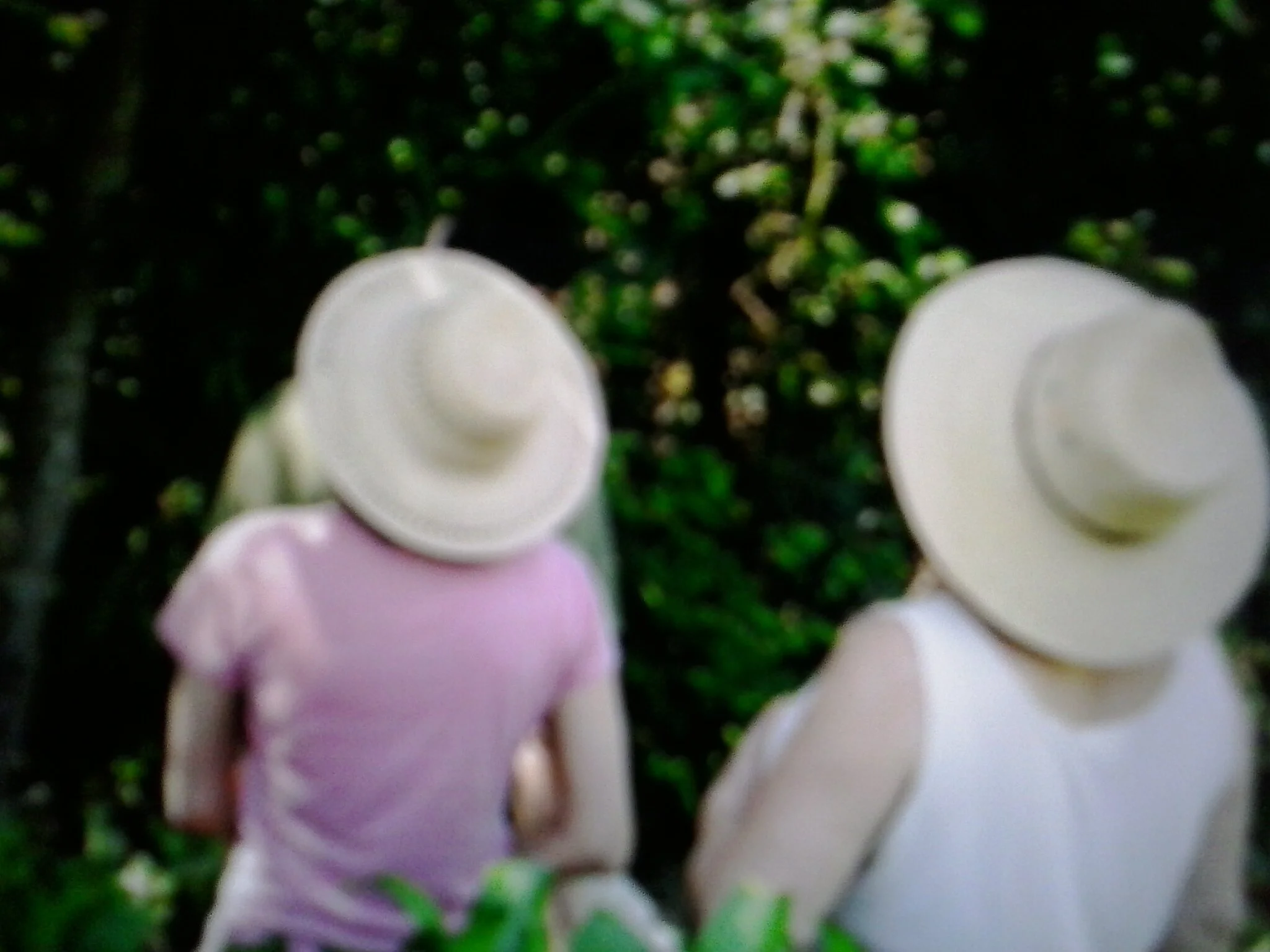 20130501_101359.jpg