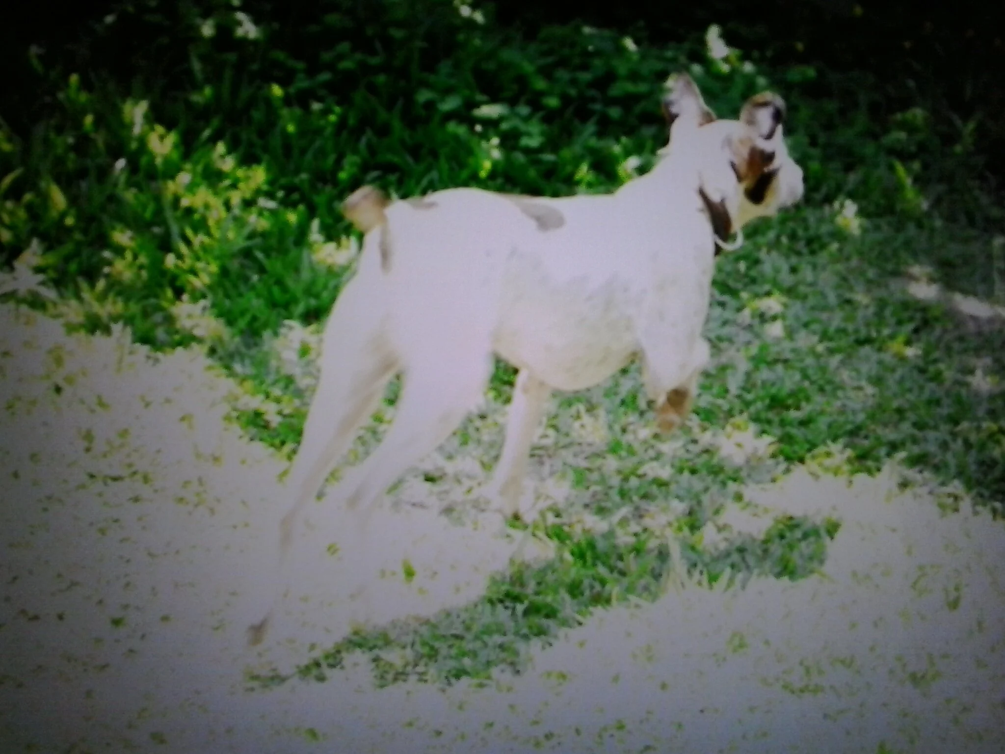 20130515_114240.jpg
