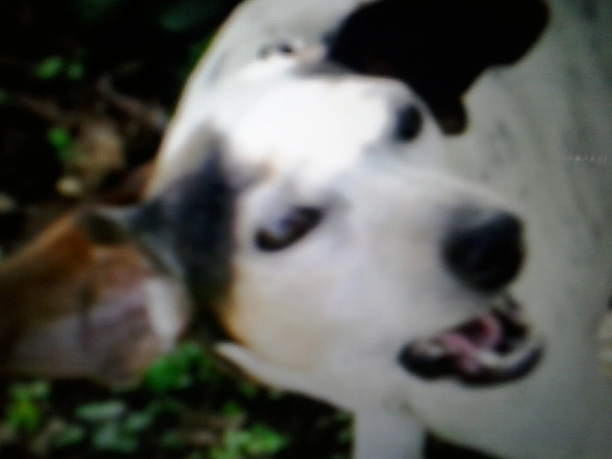 20130515_114639.jpg