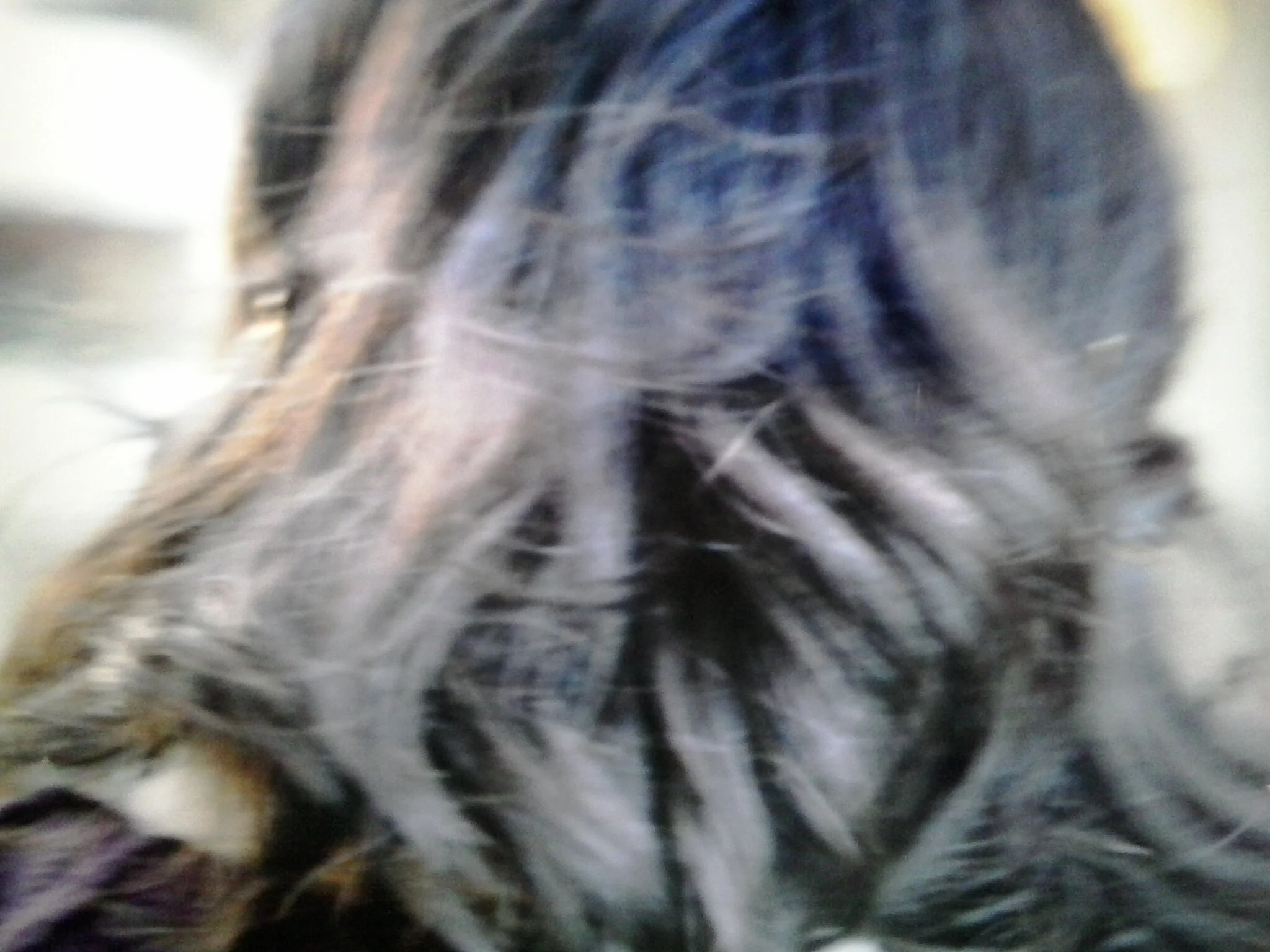20130515_173337.jpg