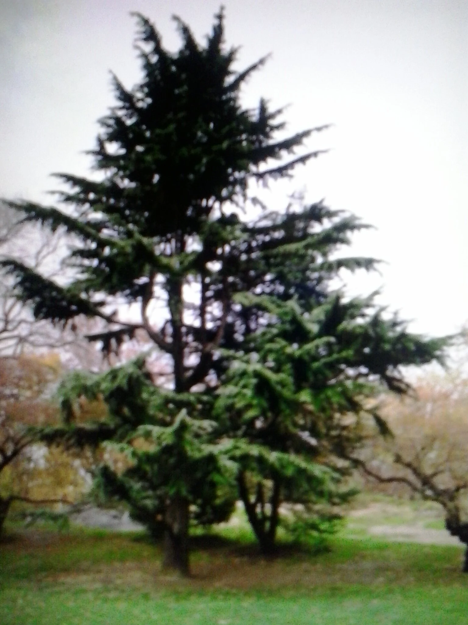 20130515_173832.jpg