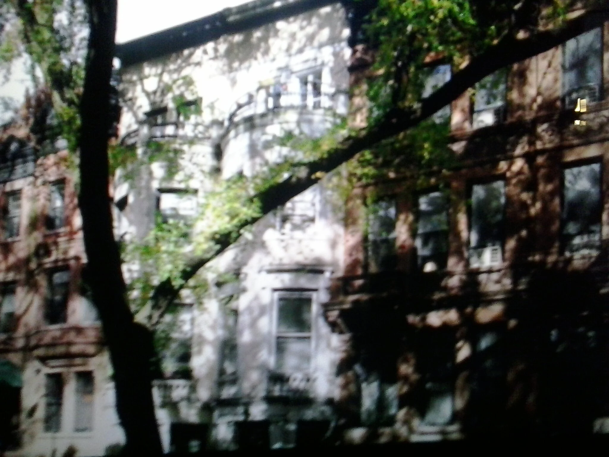 20130515_174224.jpg