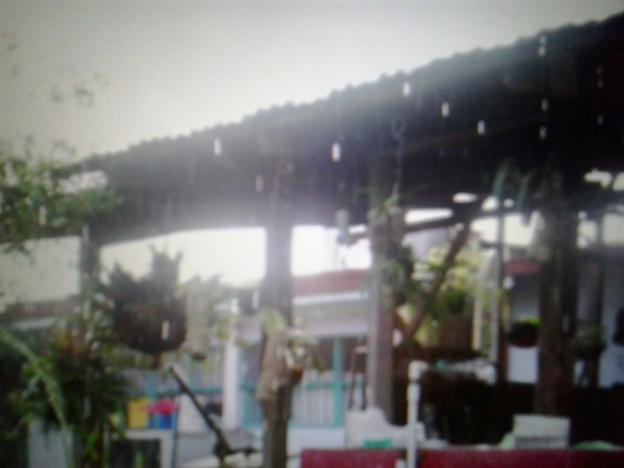 20130517_120356.jpg