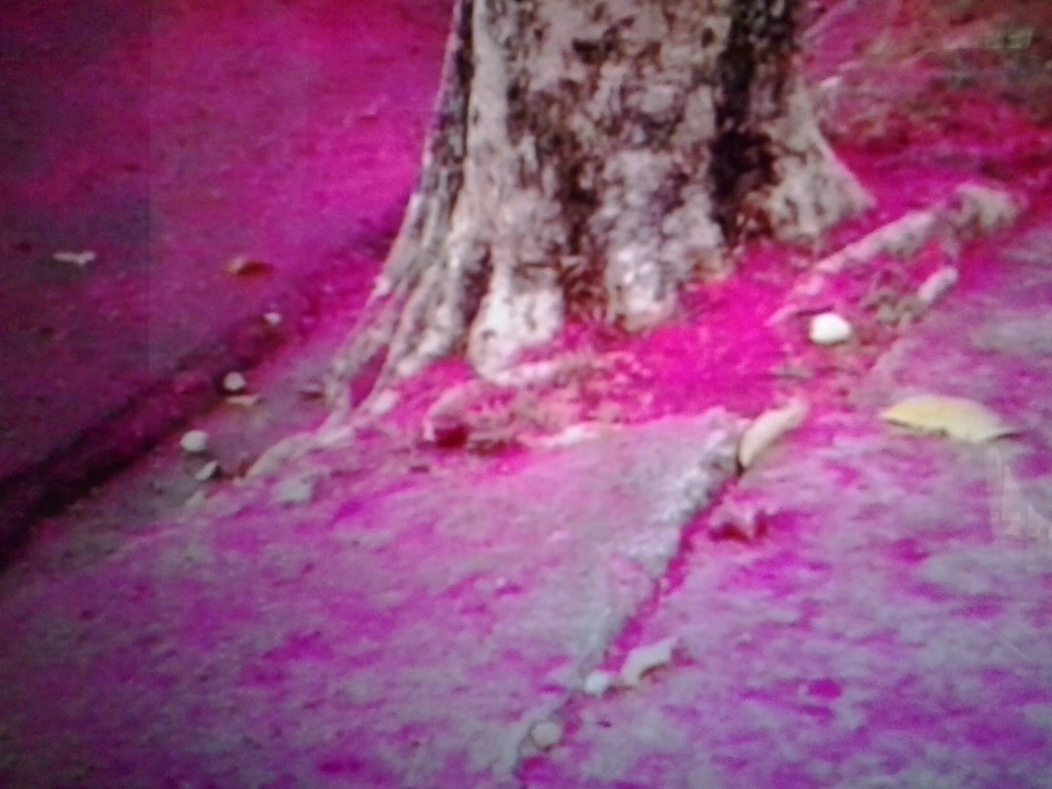 20130517_124523.jpg
