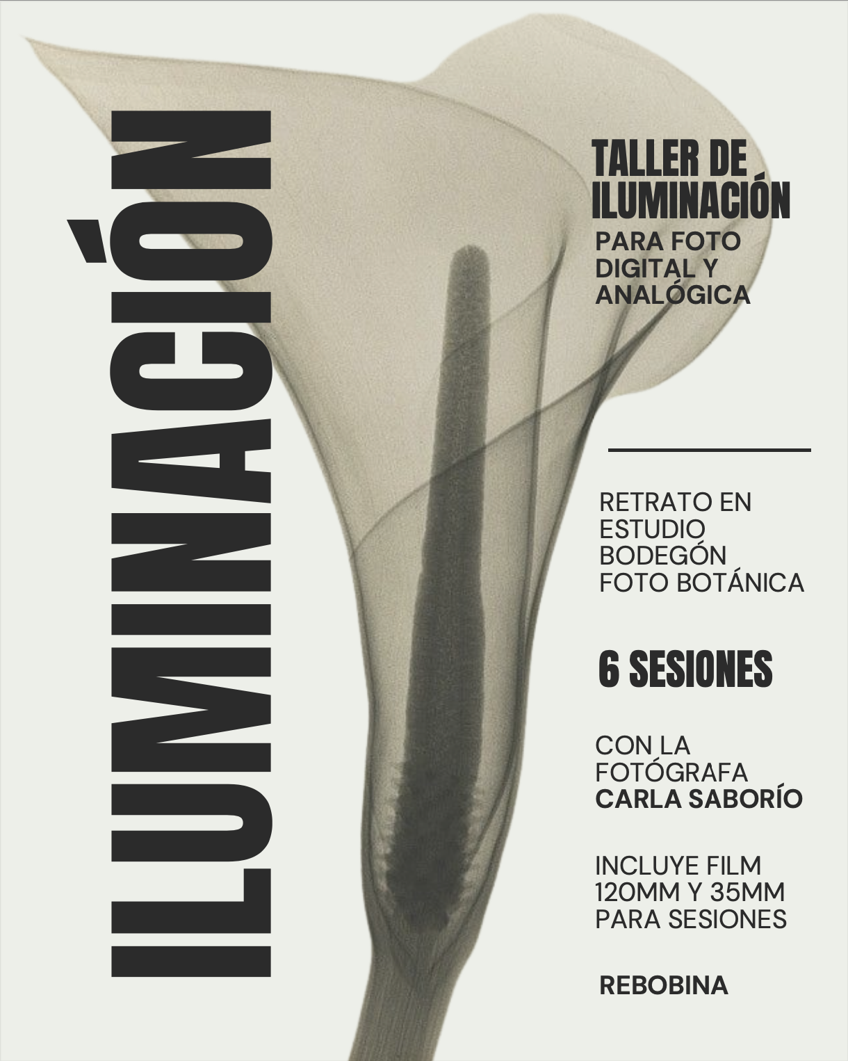 Taller de iluminación Rebobina