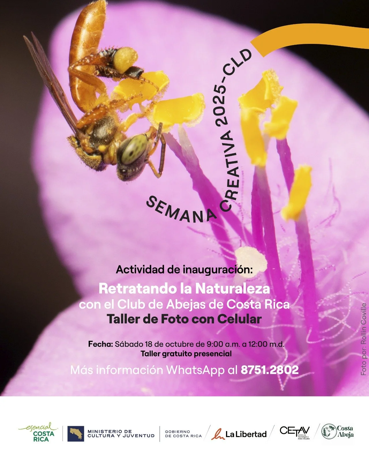 Retratando la naturaleza