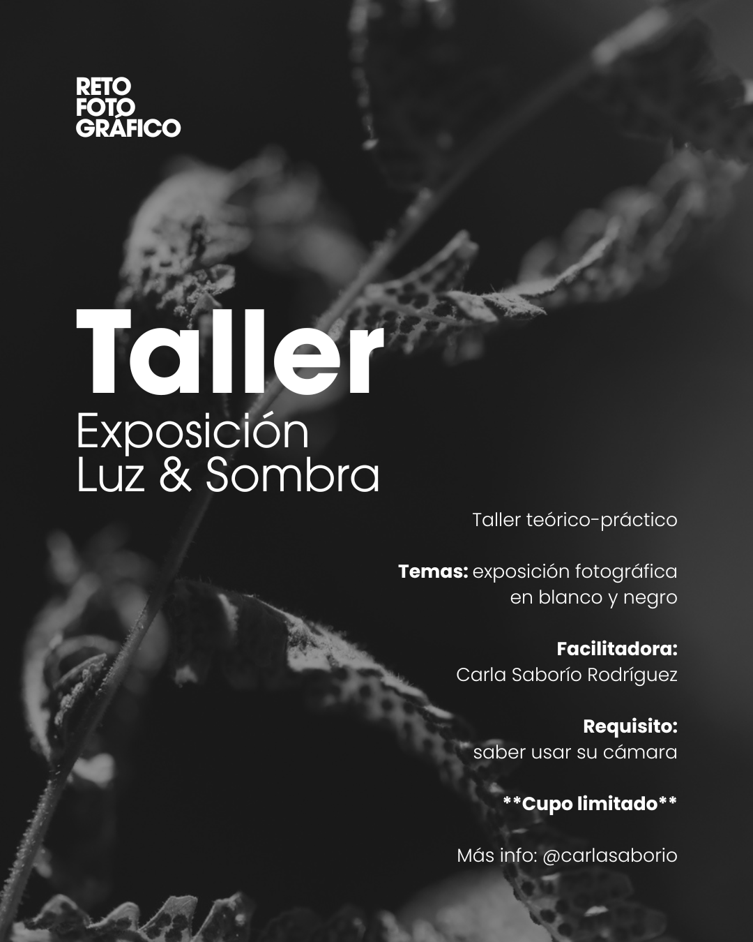 Taller Exposición Luz &amp; Sombra