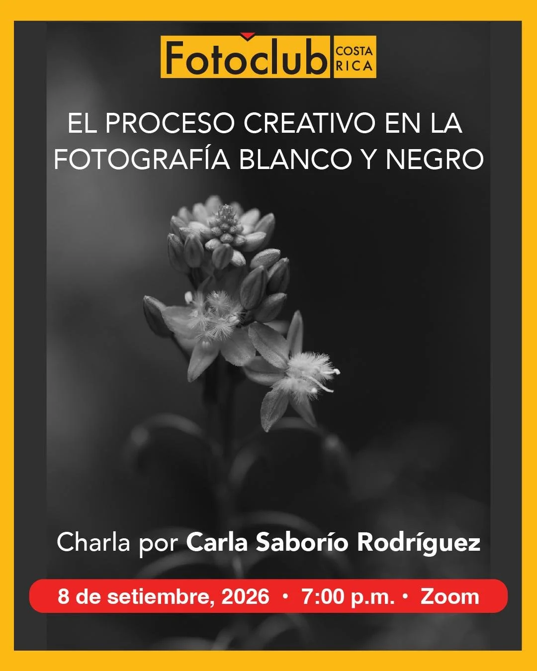 Charla El proceso creativo en la fotografía blanco y negro