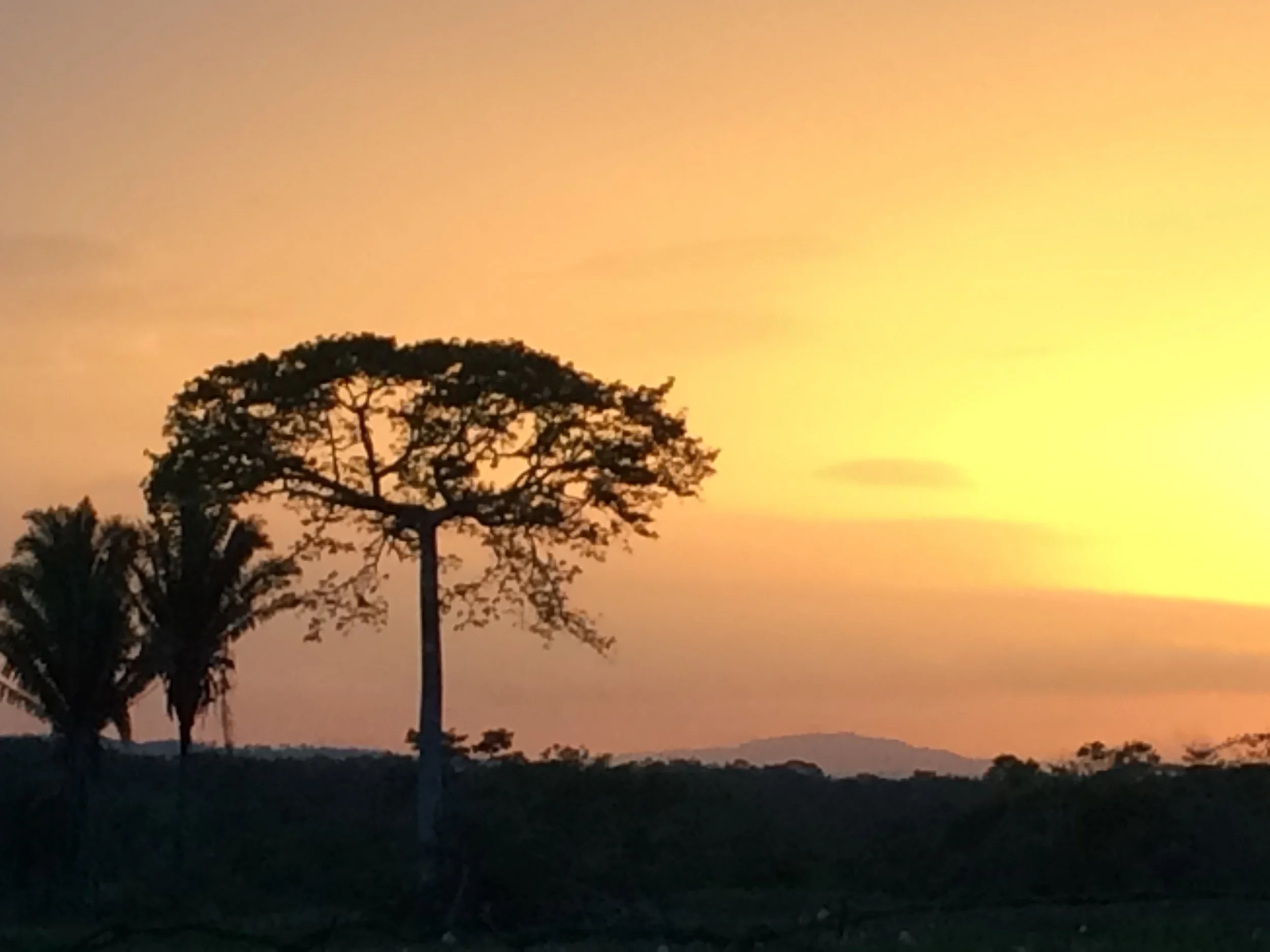 Routines and Scary Things