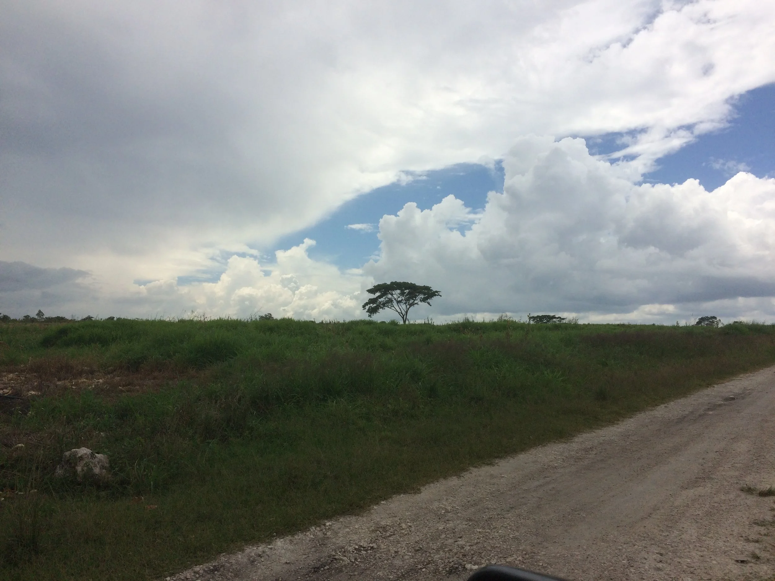 Building Momentum in the Small Moments