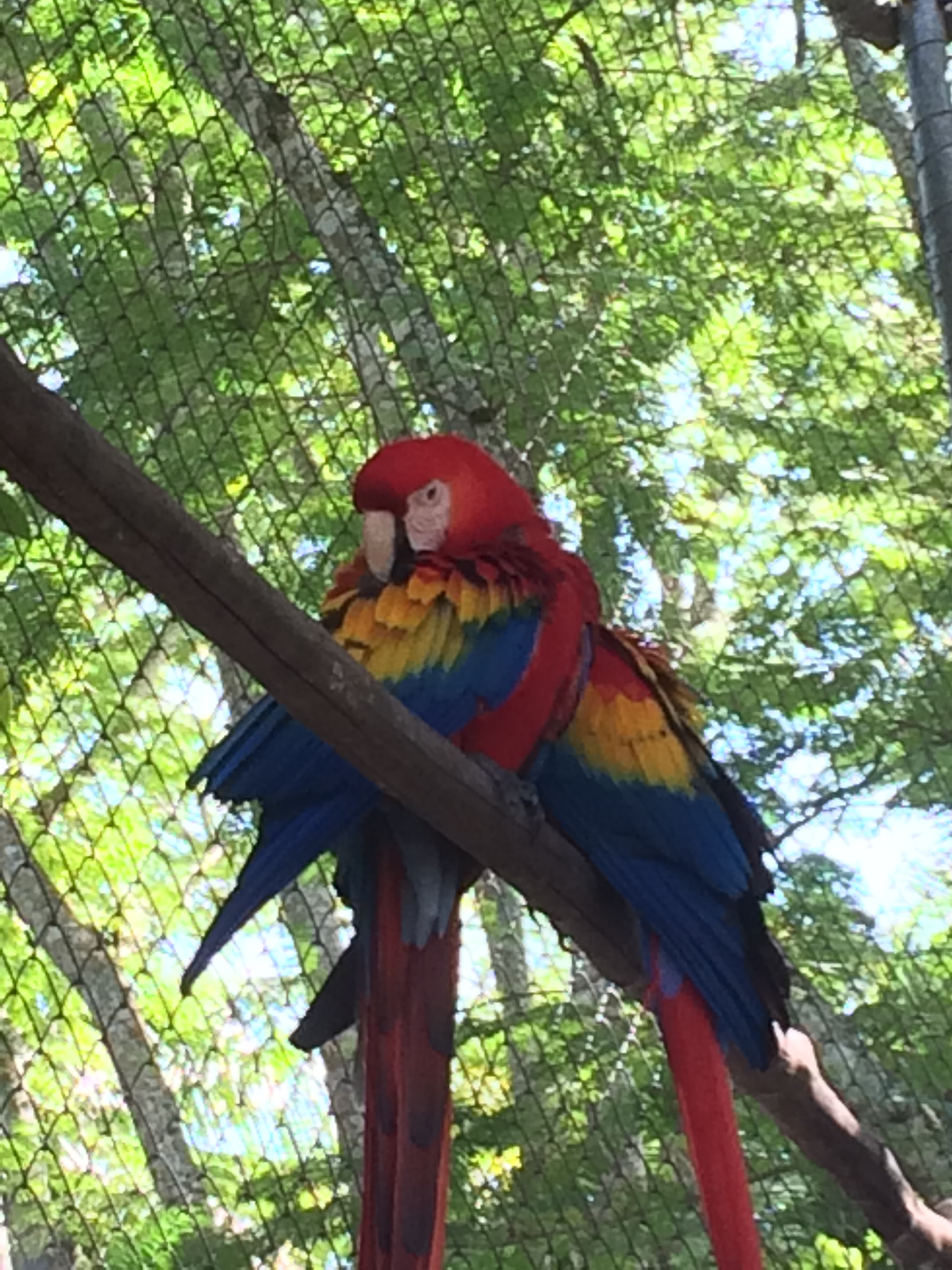 Here's What We're Doing in Belize!