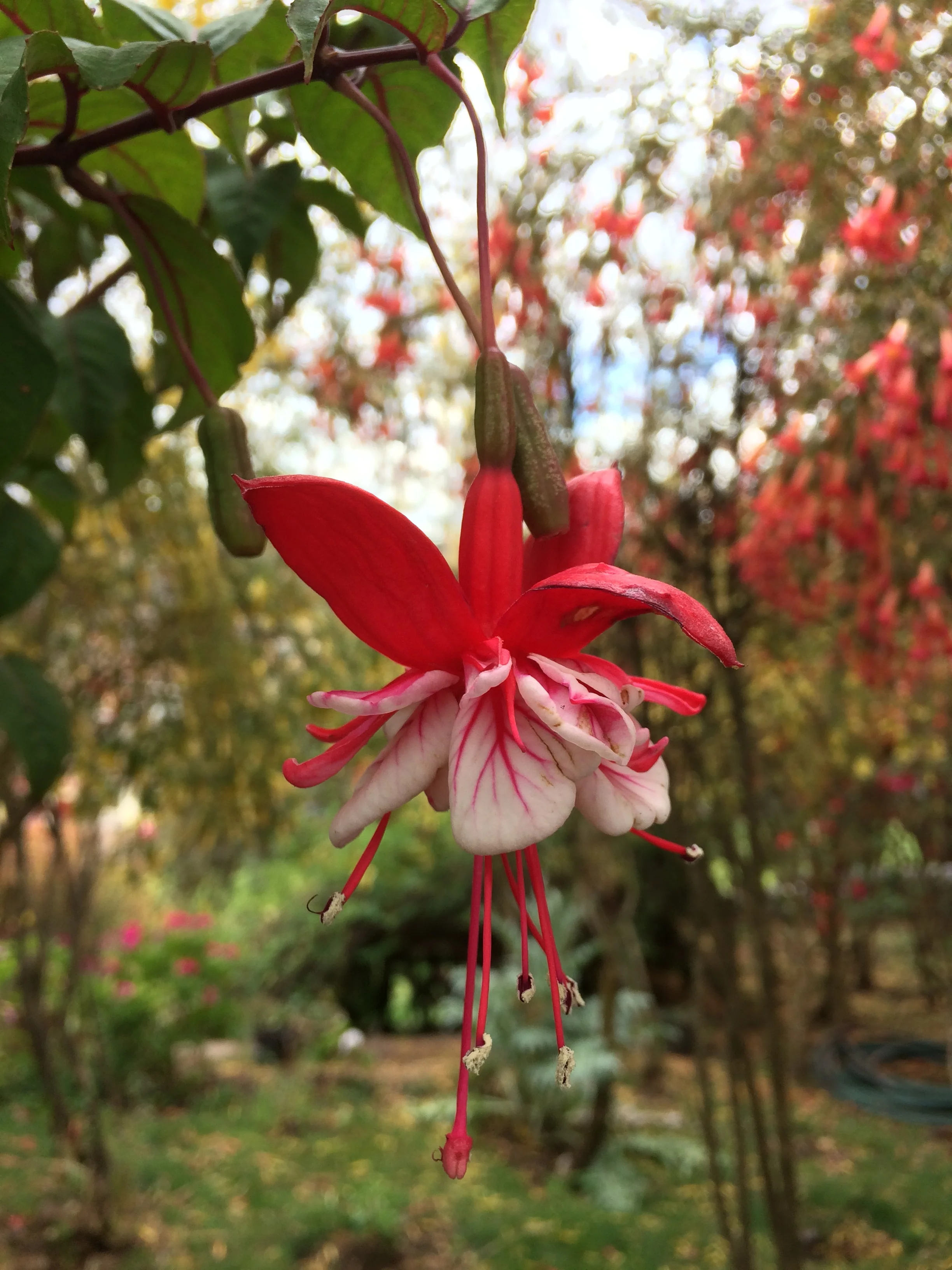 It all begins again!