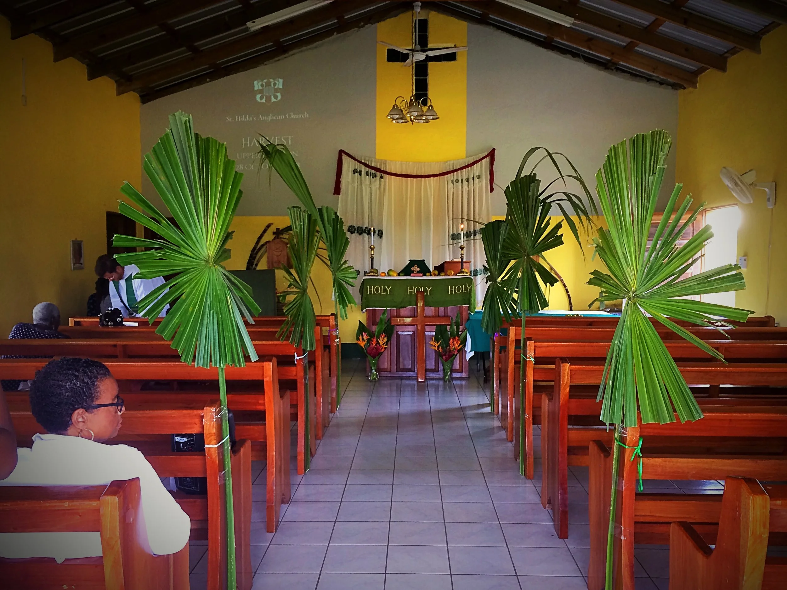 Our Mid-Harvest Update