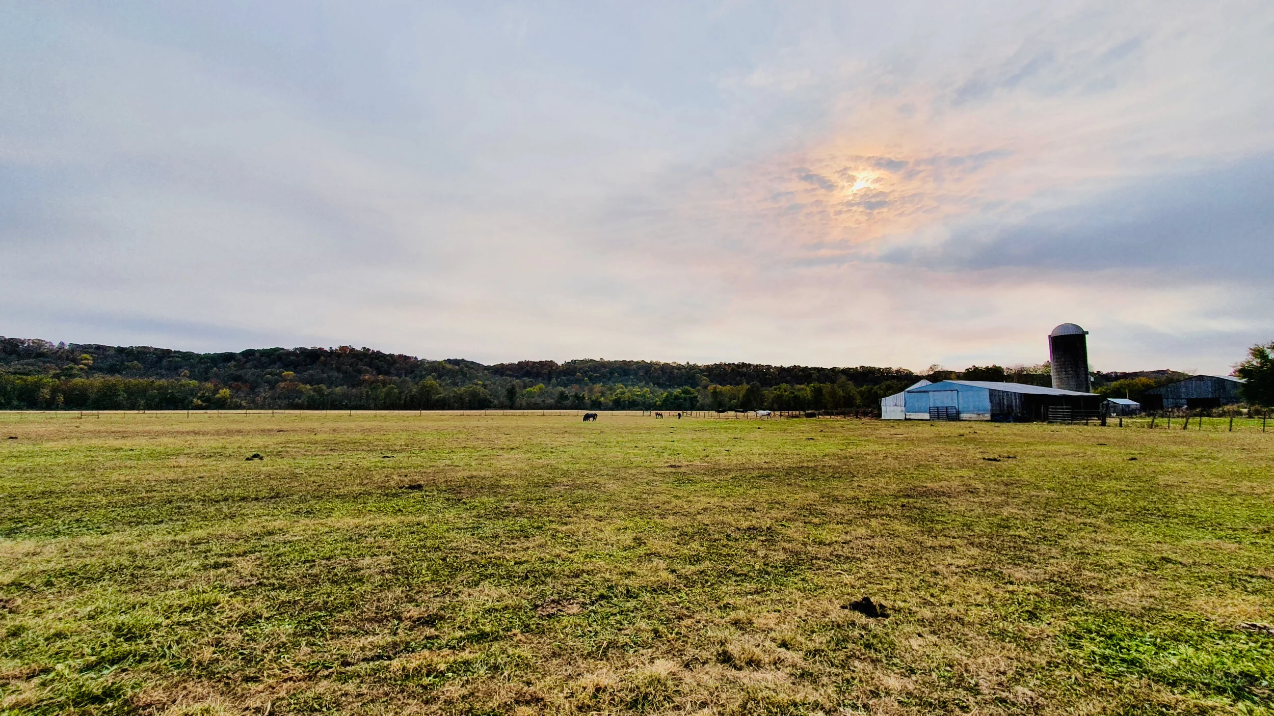 Lament and Thanksgiving