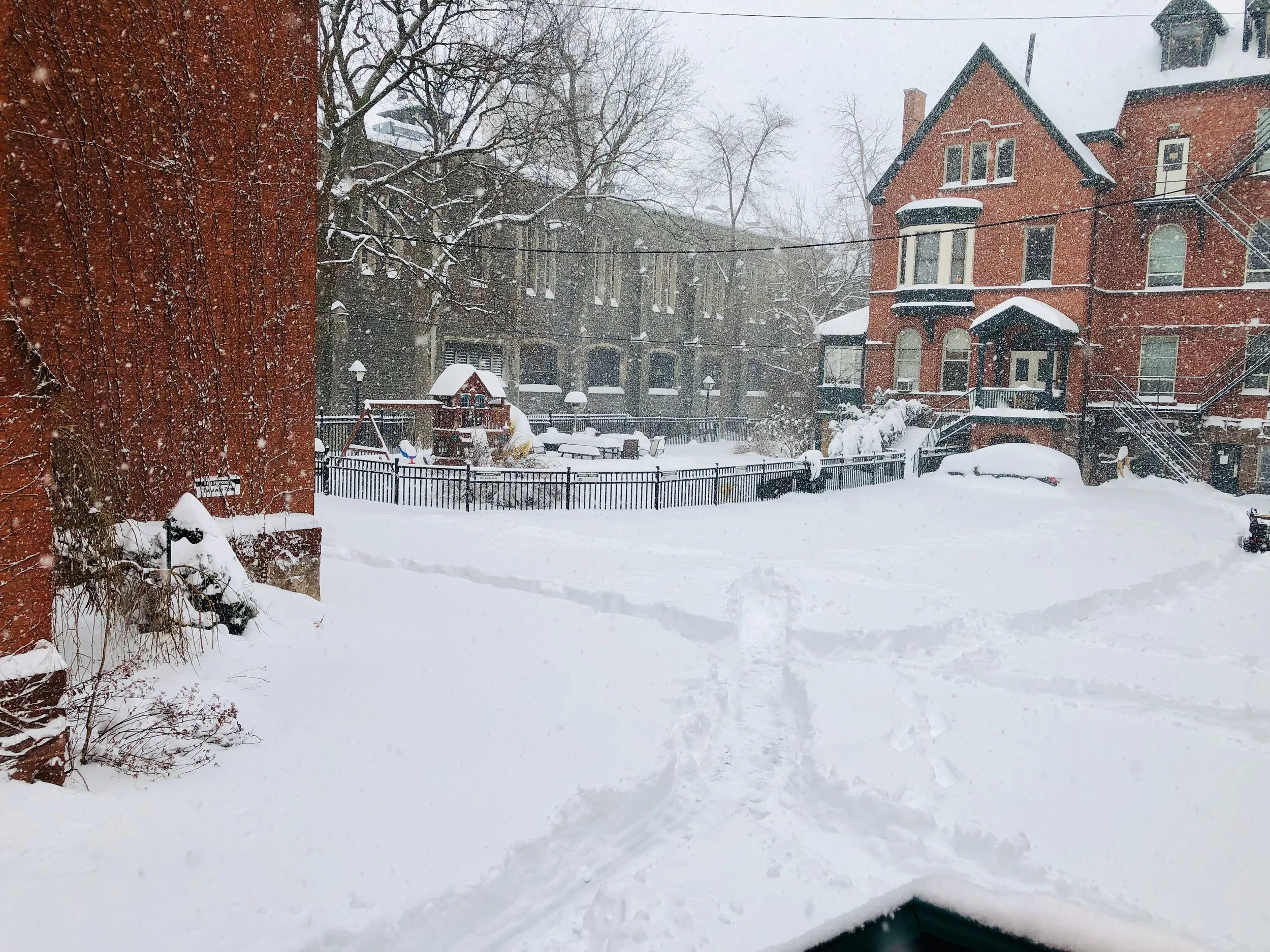 Sharing Vision, Finding Purpose