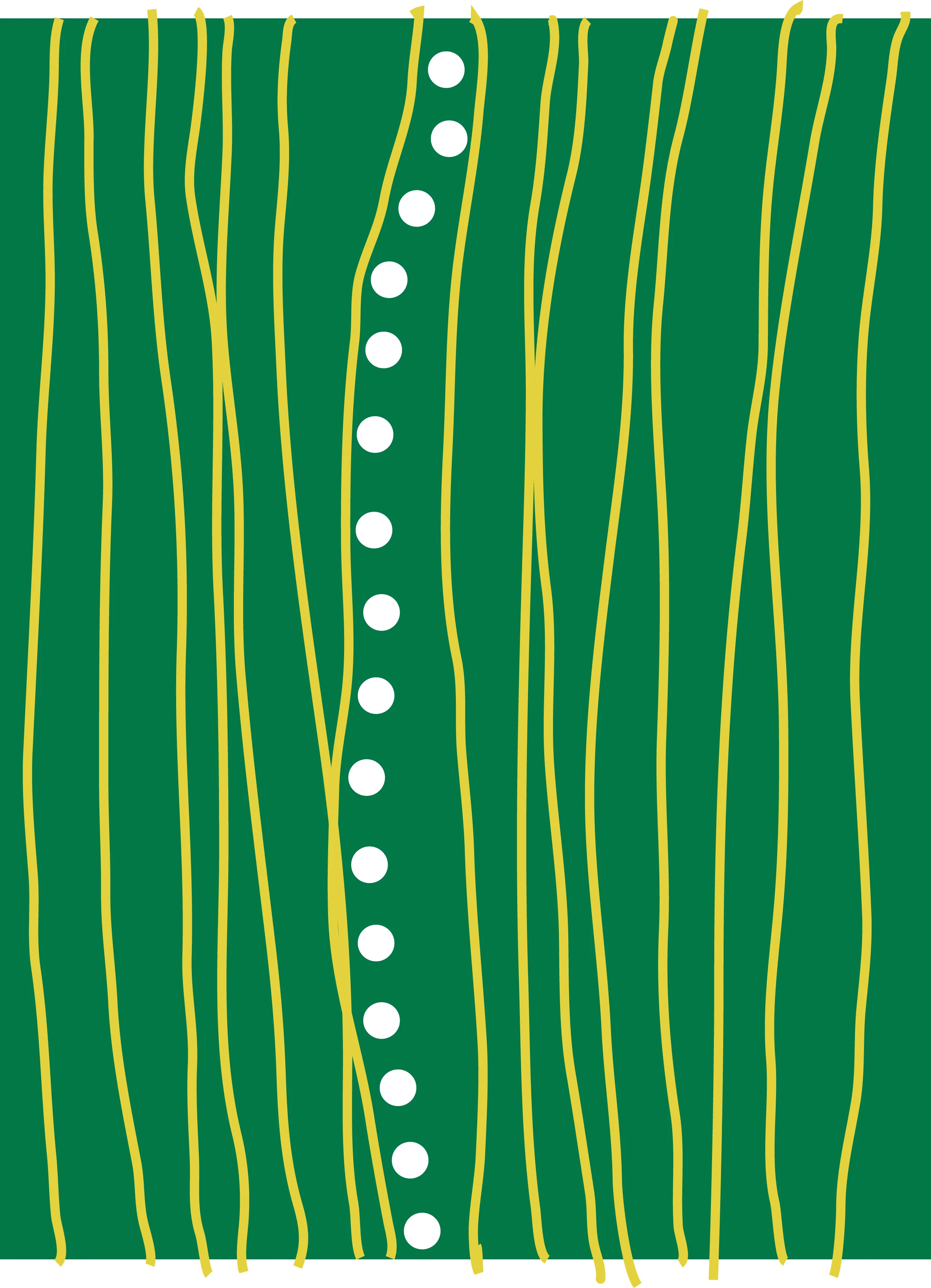 002_355204065_o.jpg