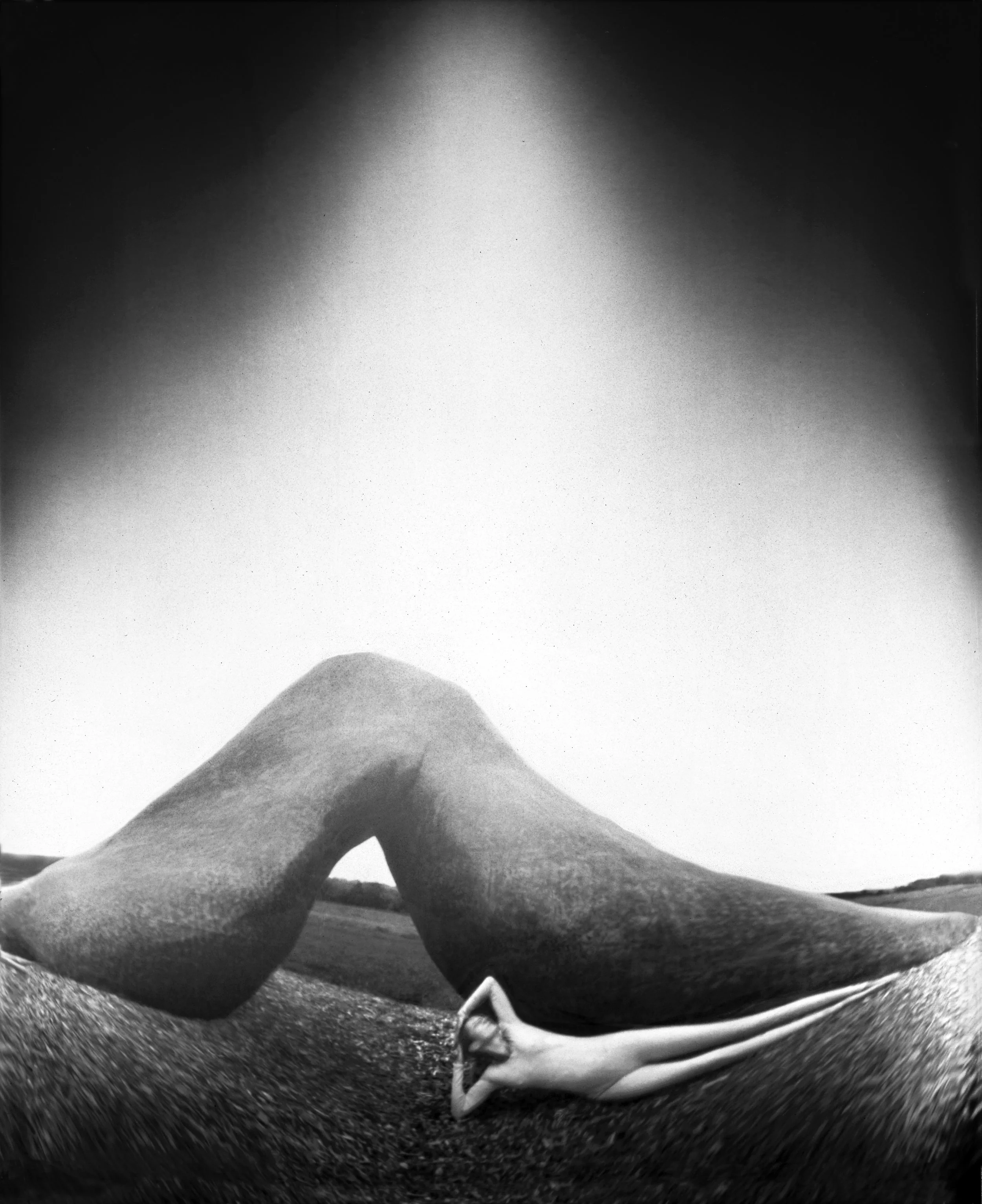 reclining.jpg