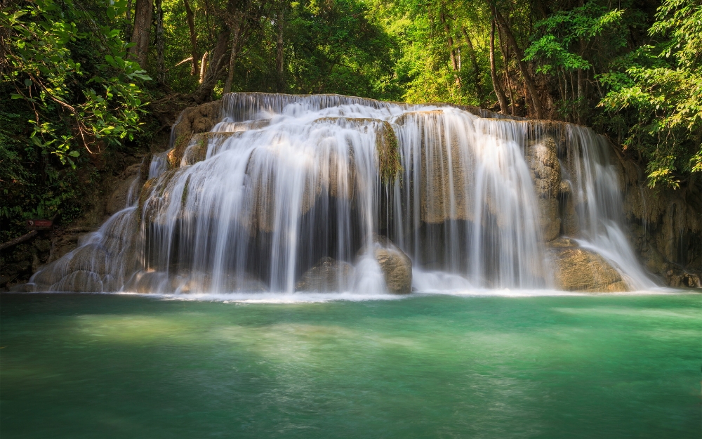 forest-trees-waterfall.jpg