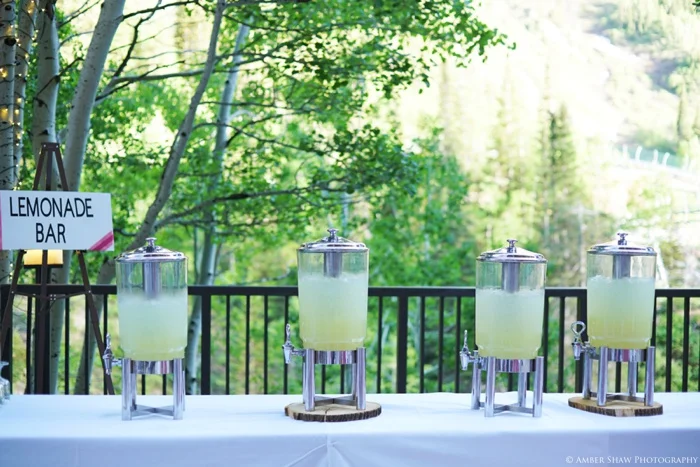 Snowbird_Cliff_Lodge_Wedding_Utah_Photographer_0092.jpg