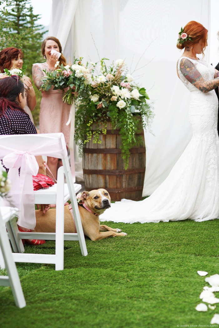 Louland_Falls_Vegan_Wedding_Utah_Photographer_0041.jpg