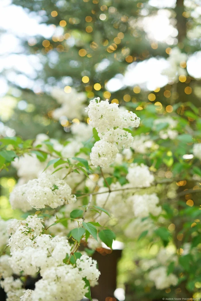 Millcreek_Inn_Wedding_Utah_Photographer_0043.jpg