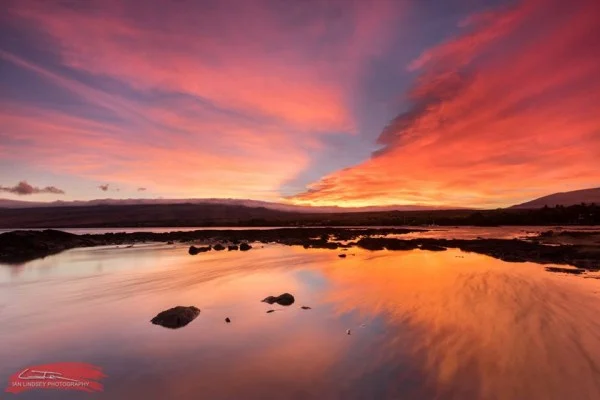 One More Thing To Do When Preparing For Hurricanes in Hawaii